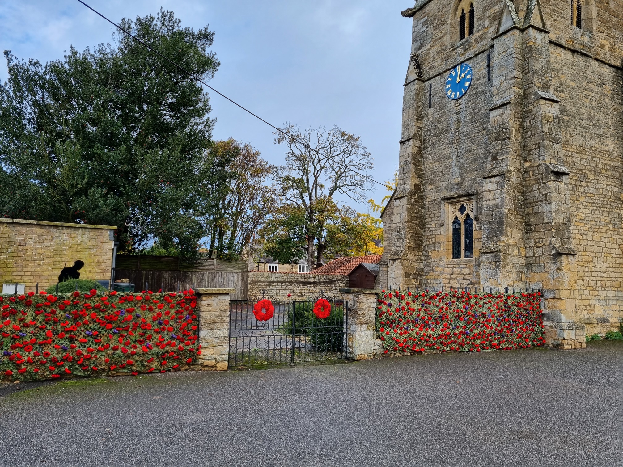 Poppies at St Thomas'