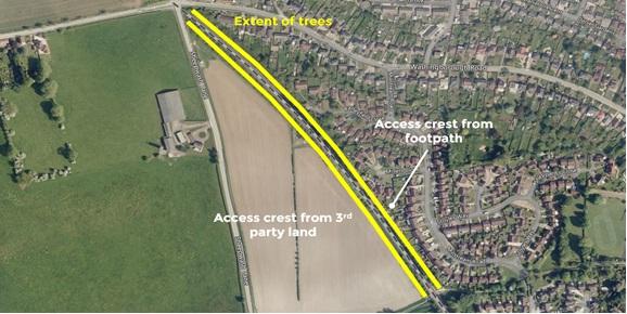 Network Rail tree maintenance