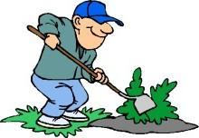 Image of a man gardening Man
